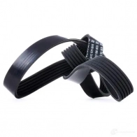 Приводной ремень поликлиновой DAYCO 549676 6x 1053 6PK1053 7QUYAZ7 - Изображение 4