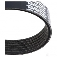Приводной ремень поликлиновой DAYCO 549691 6x109 0 6PK1090EE UYZ8S - Изображение 4