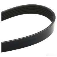 Приводной ремень поликлиновой DAYCO 549910 K01L3 6PK2385 6x23 85 - Изображение 2