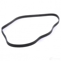 Приводной ремень поликлиновой DAYCO 549565 8BS4HKU 5x 1588 5PK1588 - Изображение 2