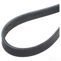 Приводной ремень поликлиновой DAYCO 549565 8BS4HKU 5x 1588 5PK1588 - Изображение 3