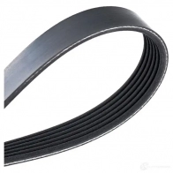 Приводной ремень поликлиновой DAYCO LSGZ1 6PK2345 6 x2345 549907 - Изображение 4