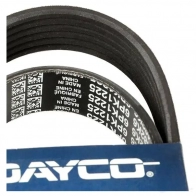 Приводной ремень поликлиновой DAYCO 6PK1225 549720 6x12 25 NM5WA - Изображение 3