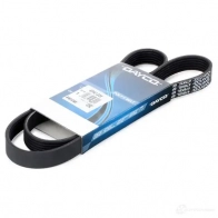 Приводной ремень поликлиновой DAYCO 549716 6x12 09 6PK1209 E1G1YBD - Изображение 2