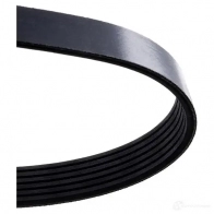 Приводной ремень поликлиновой DAYCO 6x135 5 6PK1355 I1SKHZ 549742 - Изображение 3