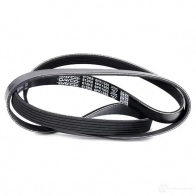 Приводной ремень поликлиновой DAYCO PFR0B 6x15 55 6PK1555 549776 - Изображение 6
