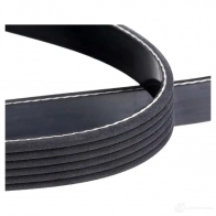 Приводной ремень поликлиновой DAYCO PFR0B 6x15 55 6PK1555 549776 - Изображение 7