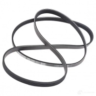 Приводной ремень поликлиновой DAYCO 5WITG25 6x 1510 549770 6PK1510 - Изображение 3