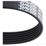 Приводной ремень поликлиновой DAYCO 8M183 6PK1805 549829 6x1 805 - Изображение 4