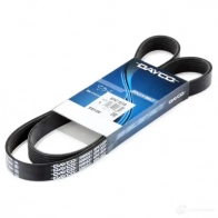 Приводной ремень поликлиновой DAYCO 6 x1323 6PK1323S 549735 35544 - Изображение 2
