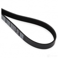 Приводной ремень поликлиновой DAYCO 6PK2210 549890 6x22 10 JL1S40 - Изображение 3
