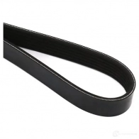 Приводной ремень поликлиновой DAYCO 6 x2250 6PK2250 549894 0QCZUN7 - Изображение 2
