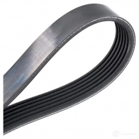 Приводной ремень поликлиновой DAYCO 6 x1765 7KX2NQQ 549825 6PK1765 - Изображение 4