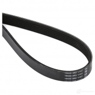 Приводной ремень поликлиновой DAYCO 6x167 0 549799 EABW2 6PK1670 - Изображение 2