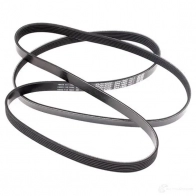 Приводной ремень поликлиновой DAYCO NBHEH 549842 6PK1880 6 x1880 - Изображение 3