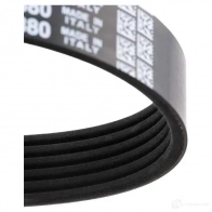 Приводной ремень поликлиновой DAYCO NBHEH 549842 6PK1880 6 x1880 - Изображение 4