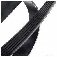 Приводной ремень поликлиновой DAYCO DUU9K 6PK1558 549777 6x 1558 - Изображение 4