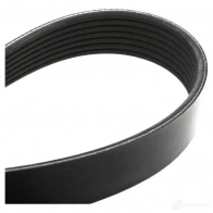 Приводной ремень поликлиновой DAYCO 550054 7PK1870 7x 1870 0FNYB6 - Изображение 2