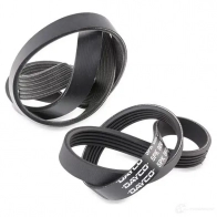 Комплект приводного ремня DAYCO 554524 PVE003 KA 4XV 8021787064636 - Изображение 3