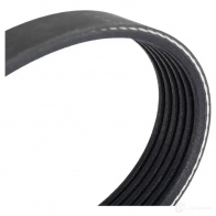 Комплект приводного ремня DAYCO 8021787539394 XJ0M 0IX KPV051 553258 - Изображение 5
