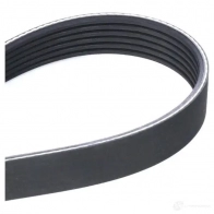 Комплект приводного ремня DAYCO L 1YIF KPV327 1424397075 8021787204704 - Изображение 5