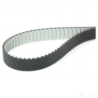 Комплект ремня ГРМ с помпой DAYCO QTE 3LZ 554272 KTBWP2964 8021787046168 - Изображение 8