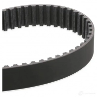 Комплект ремня ГРМ с помпой DAYCO KTBWP3170 8021787014747 554285 X 5M4U - Изображение 3