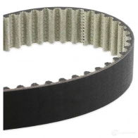 Комплект ремня ГРМ с помпой DAYCO 554342 TH RQ9 8021787015881 KTBWP4153 - Изображение 3