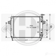 Радиатор охлаждения двигателя DIEDERICHS dcm2118 PZWV U3 2096749