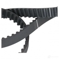 Комплект ремня ГРМ с помпой DOLZ 06KD077 05 KD052 KD066 1470216 - Изображение 5
