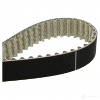 Комплект ремня ГРМ с помпой DOLZ 02KD002 KD004 1470163 02 KD001 - Изображение 7