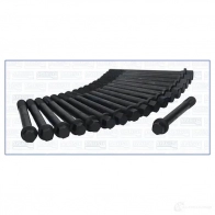 Комплект болтов ГБЦ AJUSA RO PU5 8427769294891 1374167 81002800