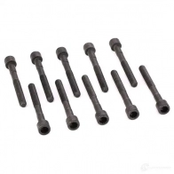 Комплект болтов ГБЦ AJUSA 81013300 1374251 OAE 5ROQ 8427769393273 - Изображение 3