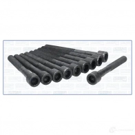Комплект болтов ГБЦ AJUSA 81013300 1374251 OAE 5ROQ 8427769393273 - Изображение 6