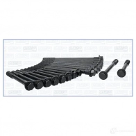 Комплект болтов ГБЦ AJUSA 8427769294754 3Y7E A 81001400 1374155