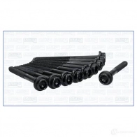 Комплект болтов ГБЦ AJUSA 81040700 8427769950148 1374463 FPATR 39 - Изображение 3