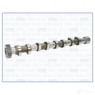 Распредвал AJUSA 8433577022922 Opel Corsa (C) 3 Хэтчбек 1.7 DTI (F08. F68) 75 л.с. 2000 – 2009 Q DXYUP2 93176700