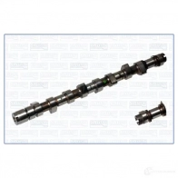 Распредвал AJUSA PT RNSNS 93077000 Fiat Ulysse 8427769008726