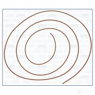 Прокладка клапанной крышки