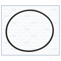 Прокладка впускного коллектора AJUSA 1423385281 8427769940941 YTP TMR 24034300