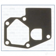 Прокладка водяного насоса (помпы) AJUSA 00078000 M497SK T 8427769015649 1423382789