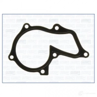 Прокладка водяного насоса (помпы) AJUSA C74T0 XV 8427769445002 00731700 1303609975