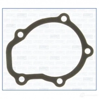Прокладка водяного насоса (помпы) AJUSA 8427769104503 00236600 OLXW 3 367992200