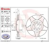 Тормозной диск BREMBO DF G1E3 790713 09.8670.75 7A6JY0F - Изображение 2