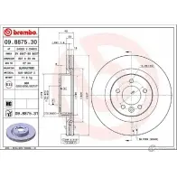 Тормозной диск BREMBO WNTH22 2 790757 09.8875.30 OE75Y - Изображение 2