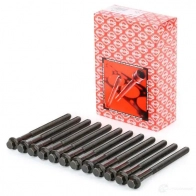 Комплект болтов ГБЦ ELRING 1 370 338 107484 221.490 1 370 338 (12x) - Изображение 2