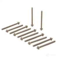 Комплект болтов ГБЦ ELRING 751.970 55 566 811 (10x) 114102 55 566 811 - Изображение 3