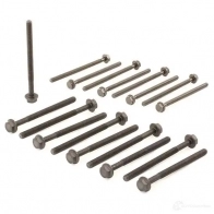 Комплект болтов ГБЦ ELRING 0204.A9 (8x) 113798 0204.A9 733.100 - Изображение 3