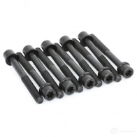 Комплект болтов ГБЦ ELRING 6 07 256 114689 6 07 256 (10x) 803.010 - Изображение 2