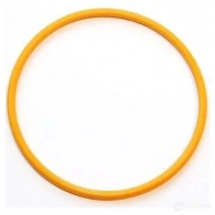 Уплотнительное кольцо ELRING 919.241 115975 F4C8H G 4041248527733